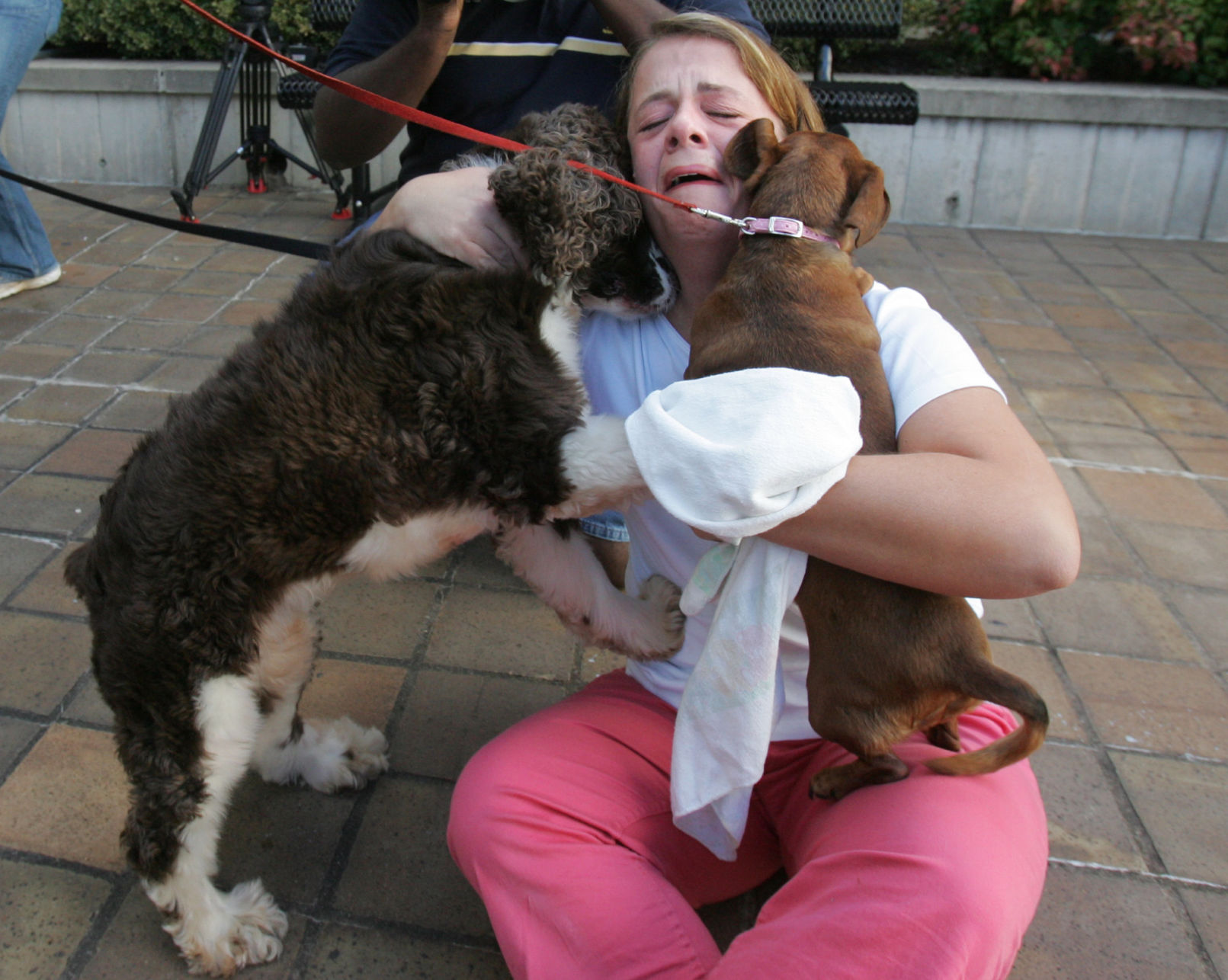 KATRINA PETS